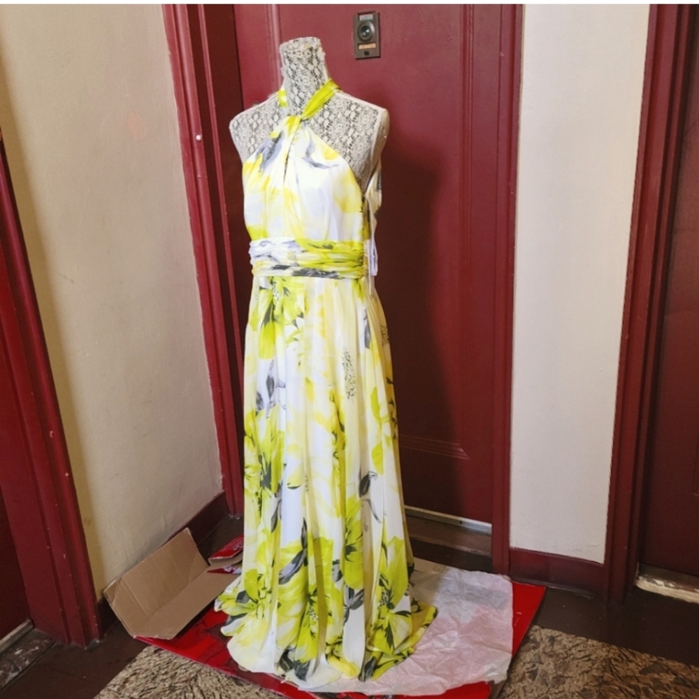 Calvin Klein Women's Sleeveless Maxi Gown Size 6